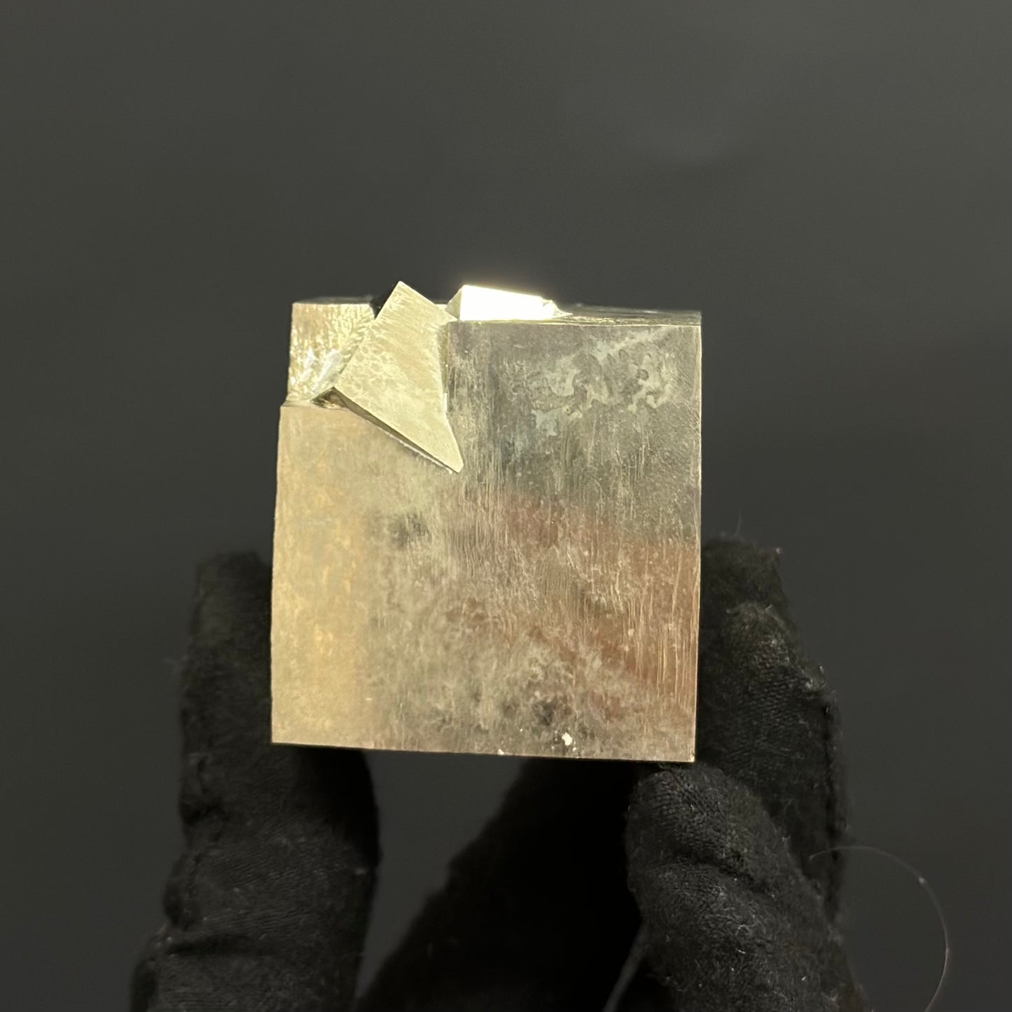 Intergrown Pyrite Cubes Specimen from Mina Ampliación A Victoria, Navajún, Spain.