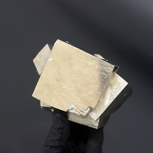 *XL Intergrown Pyrite from Mina Ampliación A Victoria, Navajún, Spain.