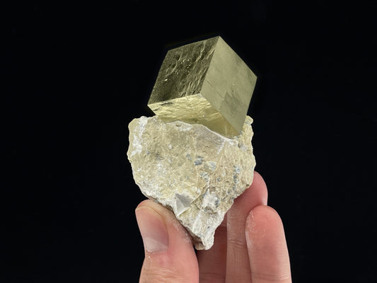 BEST SELLER - Pyrite on Matrix from Navajún, La Rioja, Spain