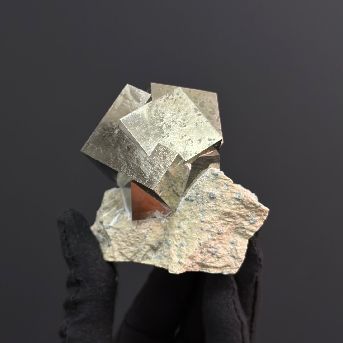 Genuine Intergrown Pyrite on Matrix from Mina Ampliación a Victoria, Navajún, Spain