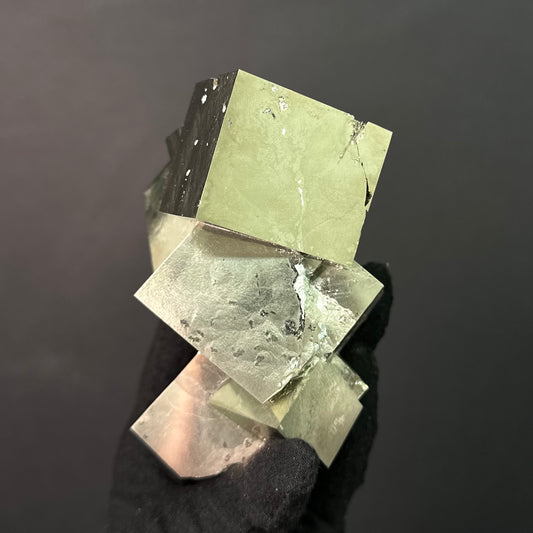 *Pyrite Intergrown from Mina Ampliación A Victoria Mine