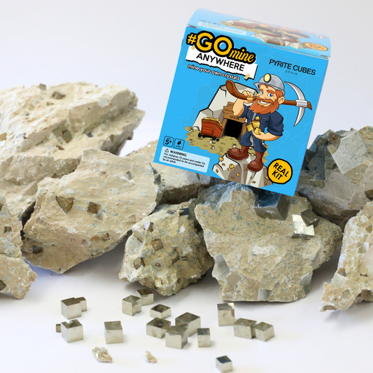 Mining Kit | Mine your own Pyrite Cubes | Directly from Mina Ampliación A Victoria, Navajún, Spain.