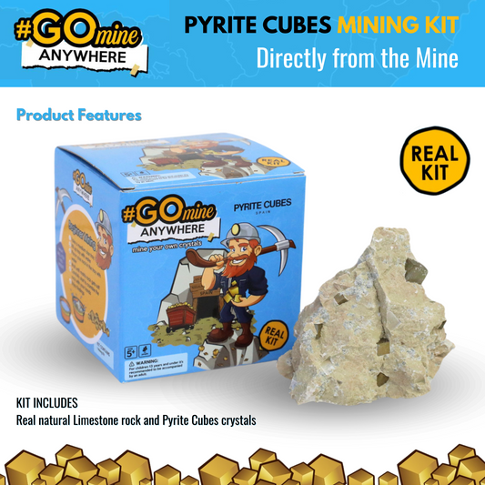 Mining Kit | Mine your own Pyrite Cubes | Directly from Mina Ampliación A Victoria, Navajún, Spain.