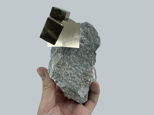 Intergrown Pyrite on Matrix from Victoria Mine, Navajun, La Rioja, Spain.