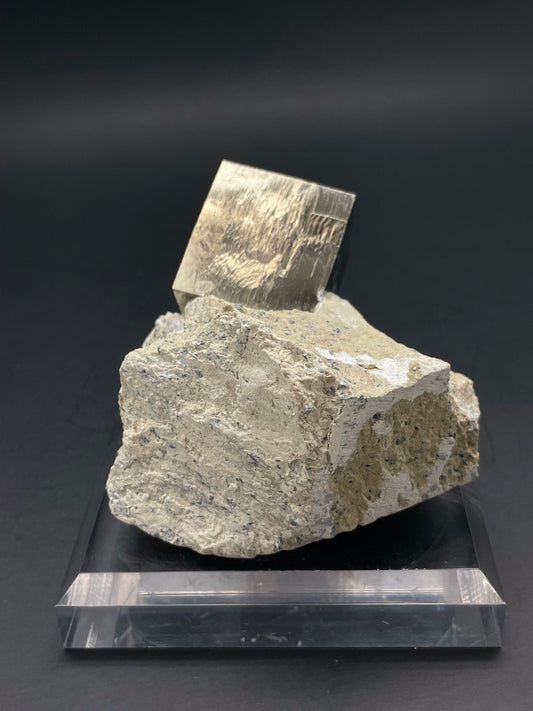 Pyrite on Matrix Navajún La Roja Spain