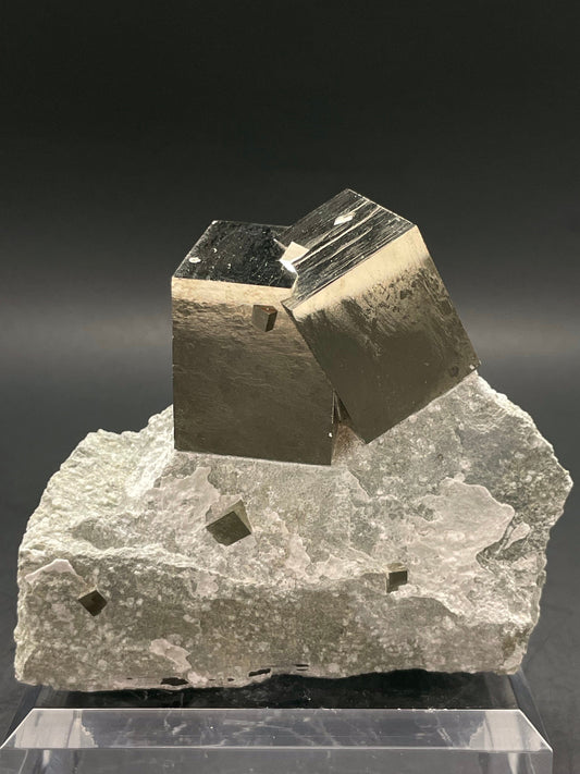 Pyrite on Matrix Navajún La Roja Spain
