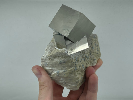 Intergrown Pyrite on Matrix from Victoria Mine, Navajun, La Rioja, Spain.